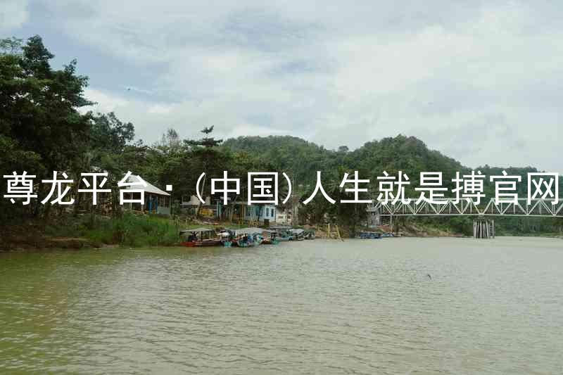 尊龙平台·(中国)人生就是搏官网