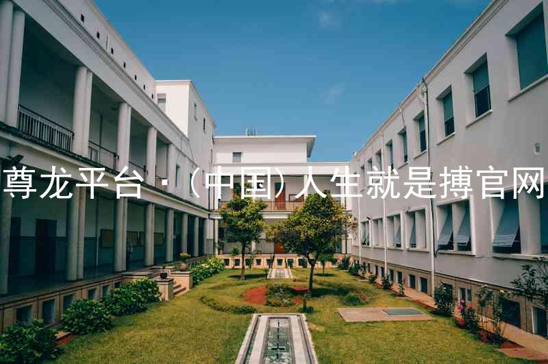 尊龙平台·(中国)人生就是搏官网