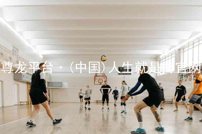 尊龙平台·(中国)人生就是搏官网