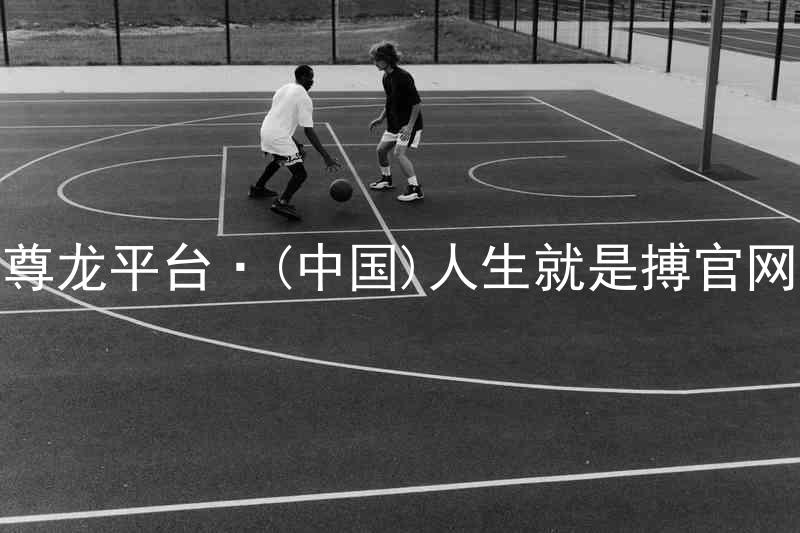 尊龙平台·(中国)人生就是搏官网