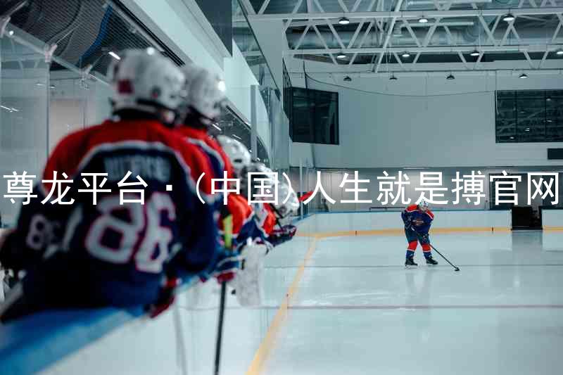 尊龙平台·(中国)人生就是搏官网